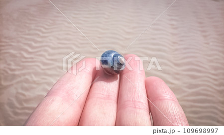 Beautiful small blue snail seashell on fingertips against a wavy warm sand beach background 109698997