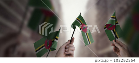 A group of people holding small flags of the Dominica in their hands 102292564