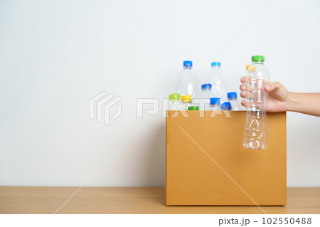 Volunteer keep plastic bottle into paper box at home or office. Hand Sorting Recycle garbage. Ecology, Environmental, pollution, Dispose recycling, waste management and trash Separation concept 102550488