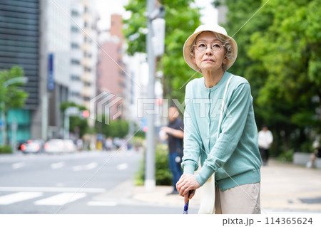 無表情でたたずむ高齢者女性 114365624