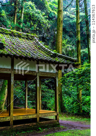 新緑の岩戸神社　【長崎県雲仙市】 114367613