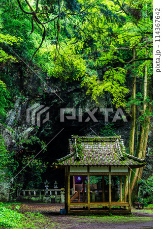 新緑の岩戸神社　【長崎県雲仙市】 114367642