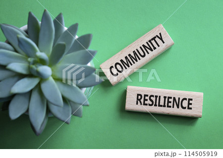 Community Resilience symbol. Wooden blocks with words Community Resilience. Beautiful green background with succulent plant. Business and Community Resilience concept. Copy space. 114505919