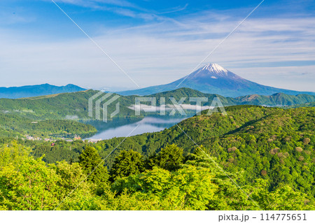 《神奈川県》新緑の箱根から富士山 114775651