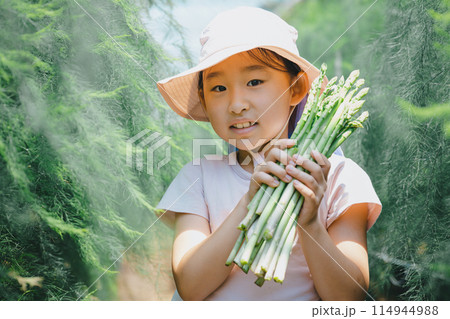 野菜の収穫を楽しむ子供 114944988