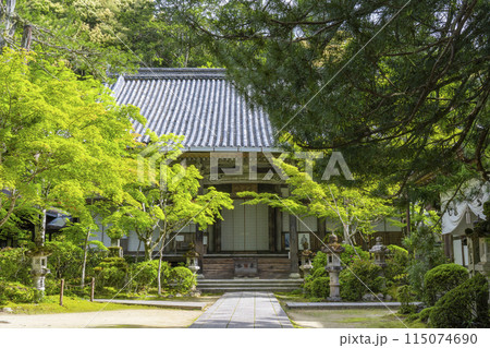 新緑の京都　槇尾山西明寺　本堂 115074690