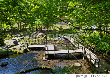 京極町　新緑に包まれた癒しのふきだし公園 115771878