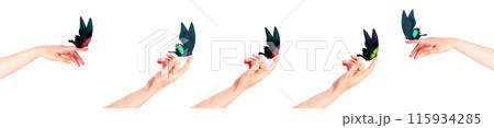 butterfly on woman's hand. In motion 115934285