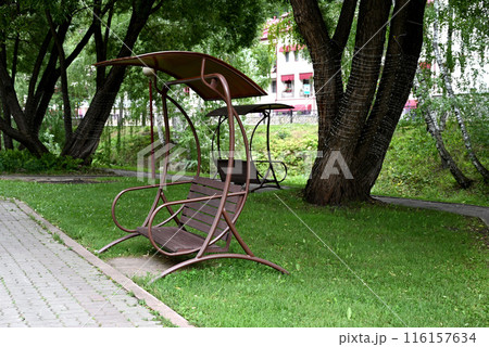 Wooden vintage bench in a public Park. 116157634