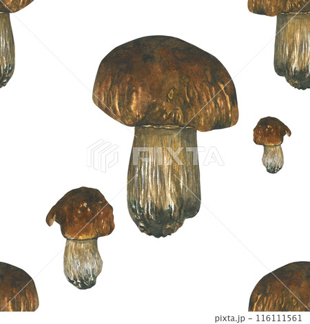 Watercolor seamless pattern of porcini mushrooms. Isolated on a white background, hand-drawn. 116111561