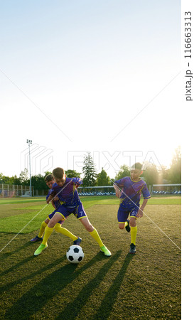 Vertical image of boys, children in uniform engaged in dynamic soccer game, competing for the victory, training outdoors on stadium in sunny evening 116663313