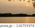 summer spring natural landscape with a lake in Park surrounded by green foliage of trees in sunlight and stone path in foreground 116755978