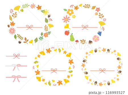 秋の植物イラストフレームと水引のセット 116993527