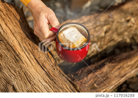 キャンプで焼きマシュマロ　Roasting marshmallows at a campsite 117016288