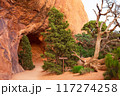 Navajo Arch in Devils Garden, Arches National Park 117274258