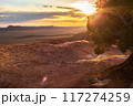 Sunset over Devils Garden in Arches National Park 117274259