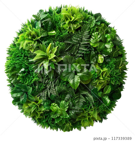 Lush Green Vertical Garden Wall PNG Transparency 117339389