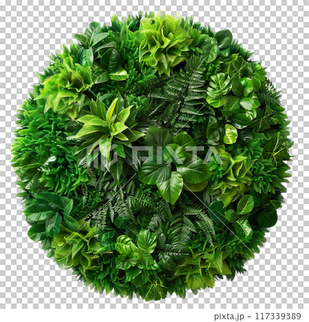 Lush Green Vertical Garden Wall PNG Transparency 117339389