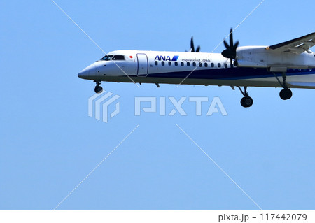 大阪国際空港　ANA　ボンバルディア　DHC8-Q400 プロペラ機　着陸態勢　スカイパーク 117442079