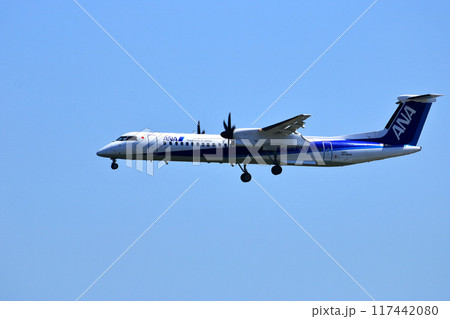 大阪国際空港　ANA　ボンバルディア　DHC8-Q400 プロペラ機　着陸態勢　スカイパーク 117442080