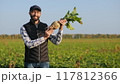 Happy farmer holding ripe sugar beet 117812366