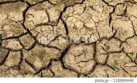 Dry cracked soil  118060446