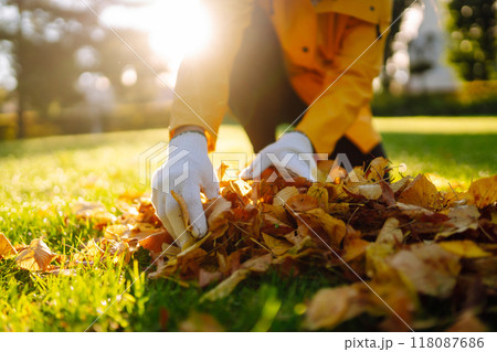 Human cleans the autumn park from yellow leaves. Volunteering, cleaning, and ecology concept. 118087686