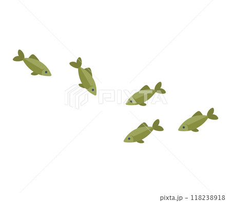 A group of green fish swimming together, illustrating a peaceful underwater aquatic life scenario. 118238918