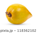 canistel fruit (Egg fruit, Tiesa, Yellow sapote, Canistelsapote, Chesa, Pouteria lucuma) 118362102