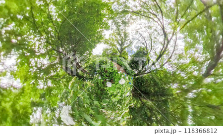 360度写真　リトルプラネットの不思議な世界　アジサイの花園 118366812