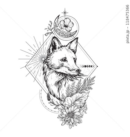 Vector composition of black and white fox, moon, plants, elements of astrology and sacred geometry isolated on white background. Mystical symbols and insects. 118475366