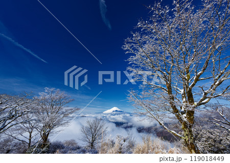 雪景色の丹沢・鍋割山から見る富士山 119018449