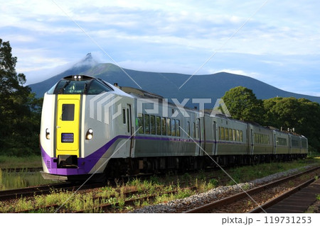 【JR北海道】キハ261系1000番台 特急「北斗」と駒ヶ岳（函館本線：大沼駅） 119731253