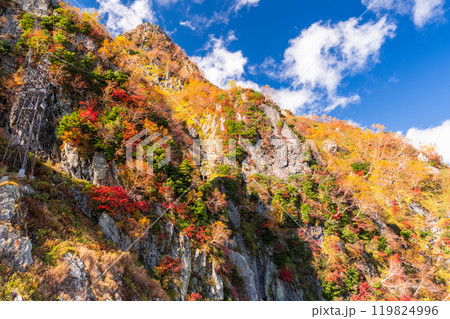 《富山県》秋の立山黒部アルペンルート・大観峰の紅葉 119824996