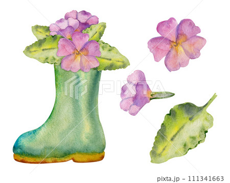 Hand drawn watercolor illustration spring gardening shoes, green rubber boots with flowers and leaves. Composition isolated on white background. Design print, shop, scrapbooking, packaging, decoupage 111341663