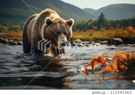 Brown bear fishing in a river. Generative AI 111545363