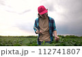 farm worker walks through the field. farming business and irrigation concept. a farmer in red cap and blue shirt walks among the sprouts lifestyle of a plant he grew in his field, holding a tablet 112741807