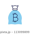 Money Bag with Bitcoin related vector icon 113099899