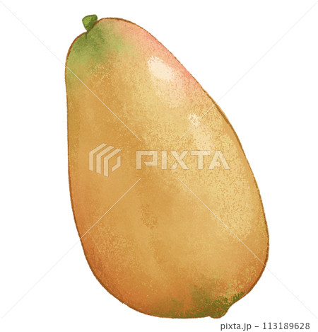 Orange Papaya summer fruit 113189628