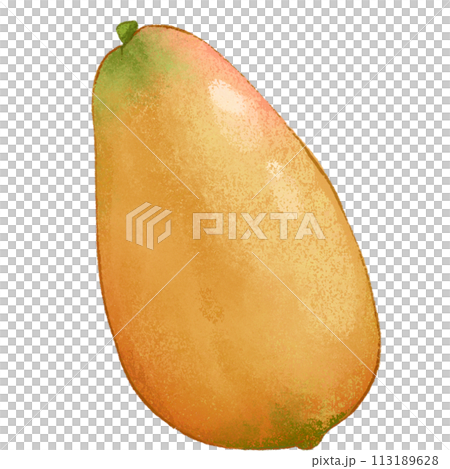 Orange Papaya summer fruit 113189628