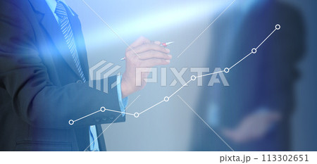 businessman hand drawing business graph 113302651