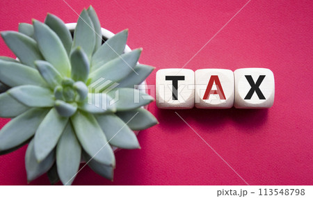 Tax symbol. Wooden cubes with word Tax. Beautiful red background with succulent plant. Business and Finance and Tax concept. Copy space. 113548798