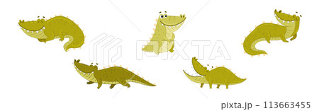 Cute Crocodile Character in Different Situation Vector Set 113663455