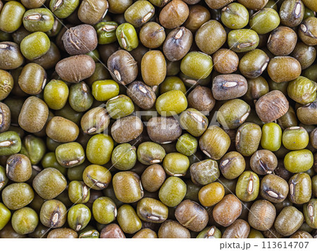 smooth background consisting of beans of mung bean soybeans. Green and brown grains are evenly distributed along the surface. Horizontal orientation. top view, flat lay 113614707