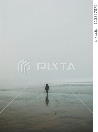 Person Standing in Water on Beach 113827879