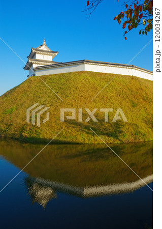 清明台櫓と青空　水面に映える景観　宇都宮城址公園 120034267