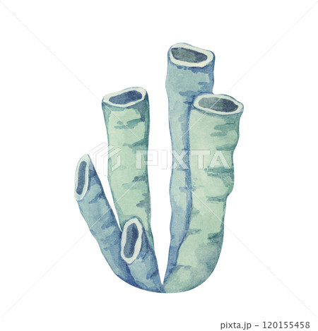 Pale blue watercolor sea sponge illustration with tube-like shapes. Aplysina fistularis isolated clipart for underwater and marine projects that need a unique coral reef element 120155458