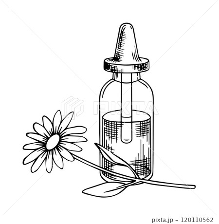 jar with aromatic chamomile oil, cosmetics. vector illustration in sketch style. 120110562