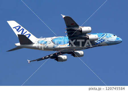 ANA JA381A青空背景上昇 120745584