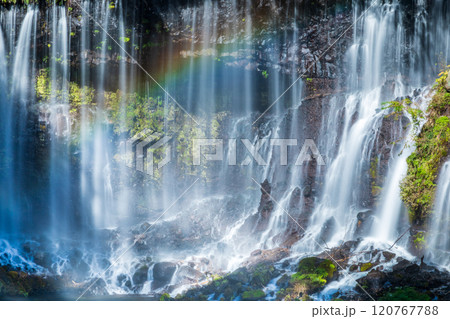 「静岡県」白糸の滝にかかる虹・秋 120767788